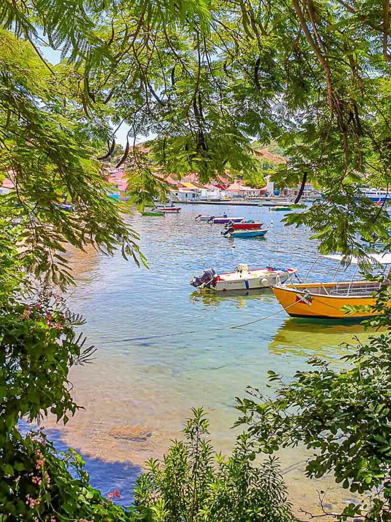 Bateaux colorés dans le port de Terre-de-Haut, Les Saintes, entourés de végétation tropicale et maisons créoles