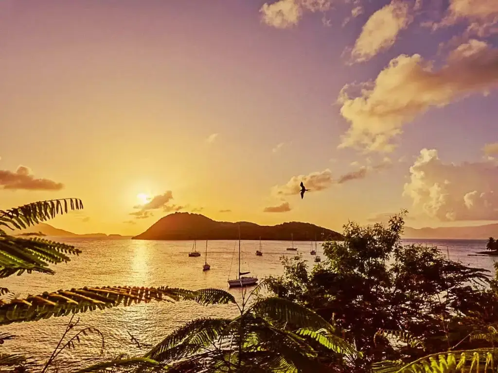 Coucher de soleil sur la baie de Terre-de-Haut, Les Saintes, avec voiliers, végétation tropicale et ciel doré
