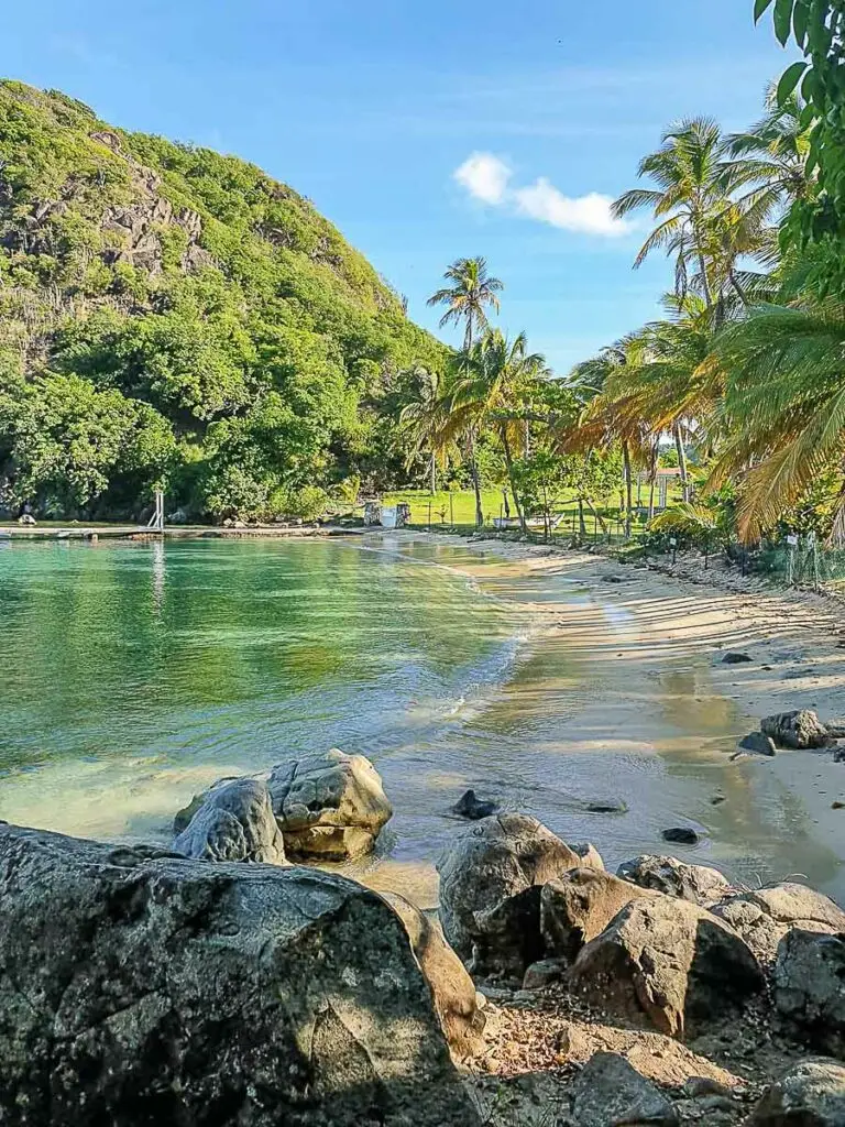 Plage du Pain de Sucre à Terre-de-Haut, Guadeloupe, avec palmiers, rochers et mer turquoise propice au snorkeling