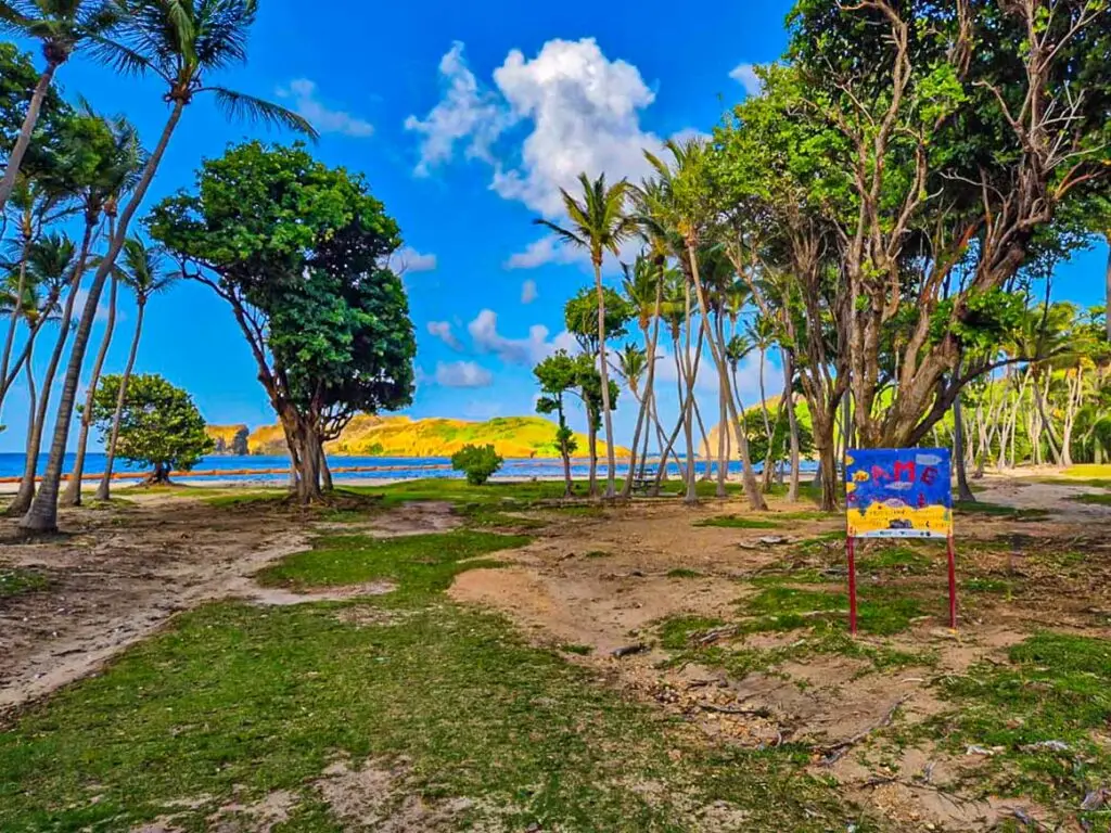 Plage de Pompierre à Terre-de-Haut, Les Saintes, avec palmiers, sable, mer turquoise et falaises dorées