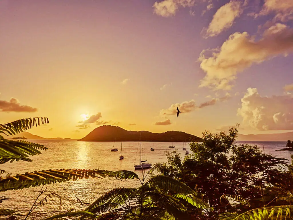 Coucher de soleil sur la baie de Terre-de-Haut, avec voiliers, palmiers et ciel doré